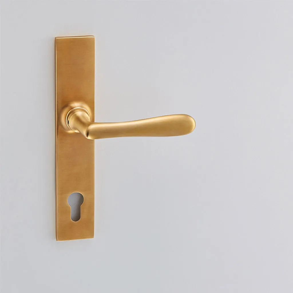 Elegance Lever Lock - 2110