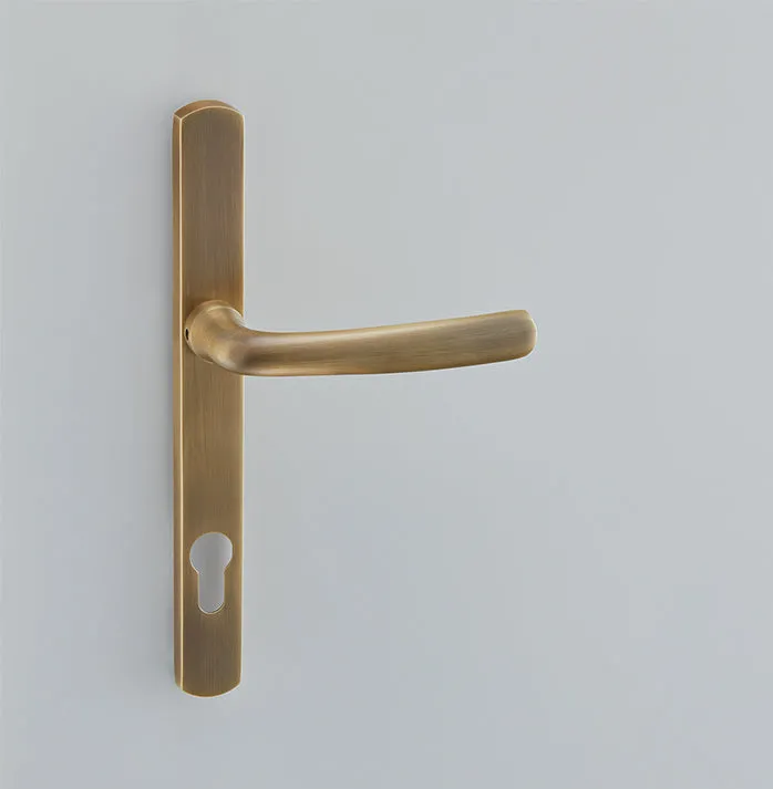 Floe Multipoint Door Handle - 2209E