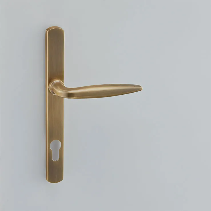 Maine Multipoint Door Handle - 2212E