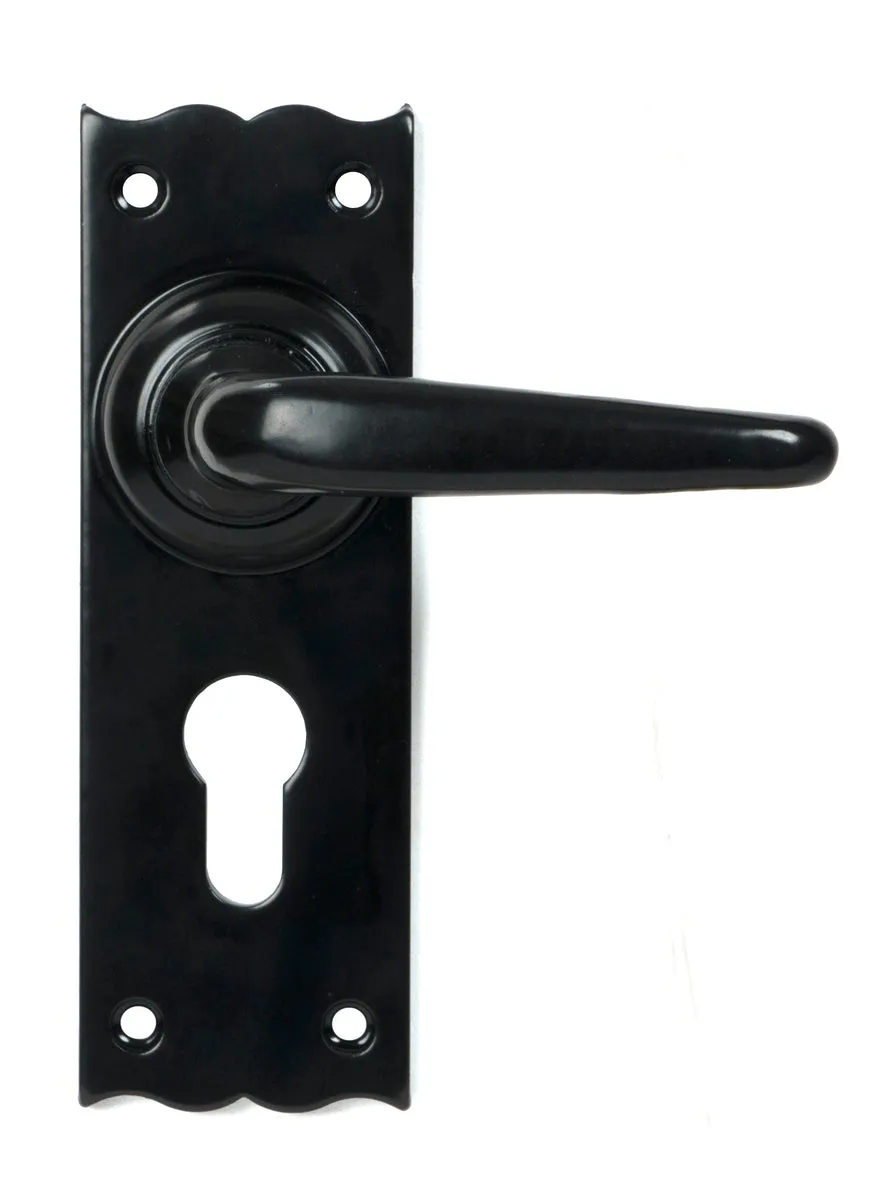 Oak Lever Euro Lock Set