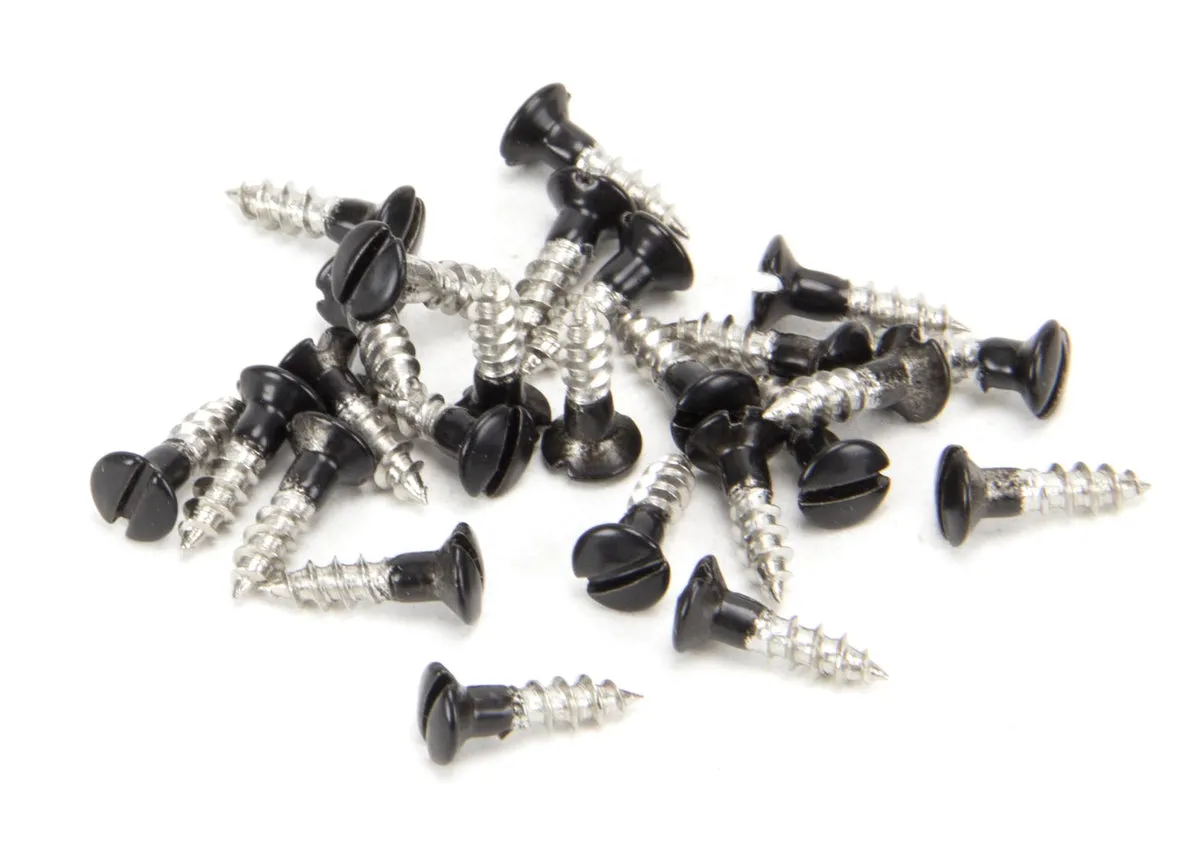 Black SS Countersunk Raised Head Screws (25)