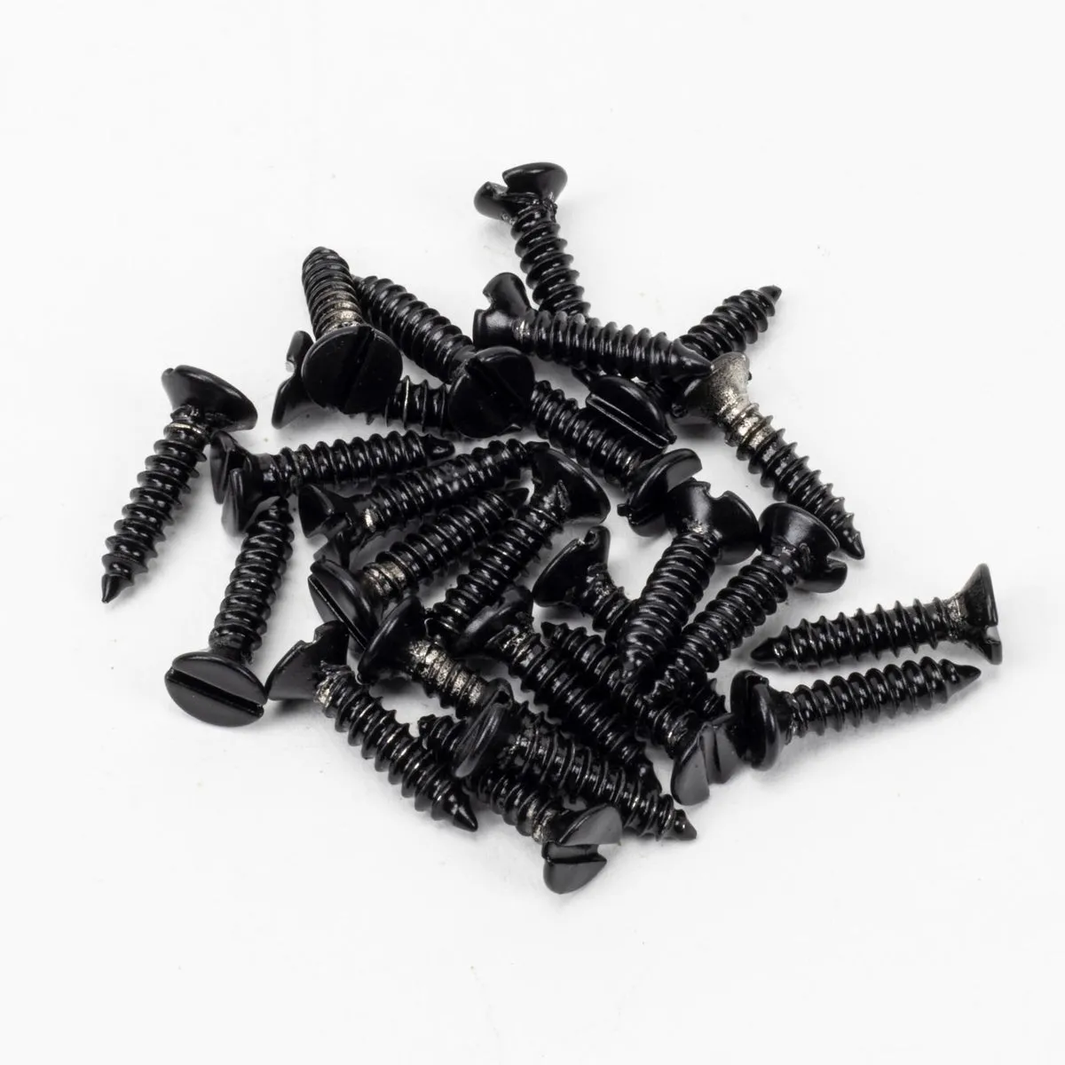 Countersunk Raised Head Screws (25)