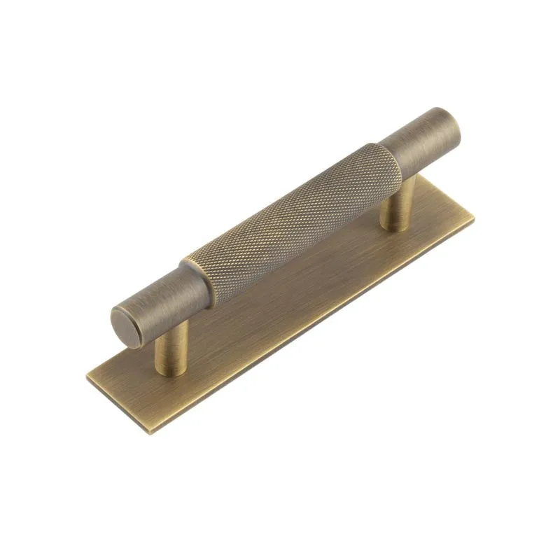 Hoxton Taplow Cabinet Handles Plain Backplate