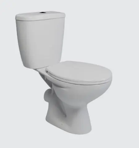 Wyndam Arrina WC pack inc Soft Close Seat WYNPANSETSC